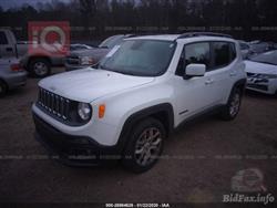 جيب رينيجيد